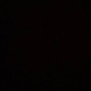 Meet your Posher, Terry